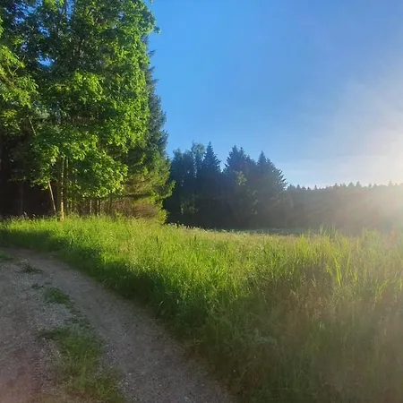 Oleandria-,, Jagodka 