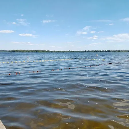 Oleandria-,, Jagodka 