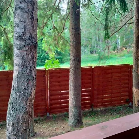 Oleandria-,, Jagodka 