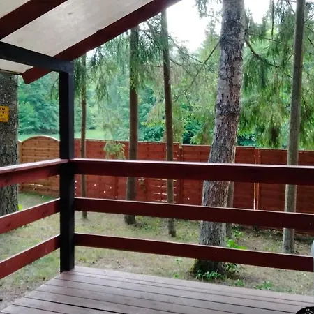 Oleandria-,, Jagodka 